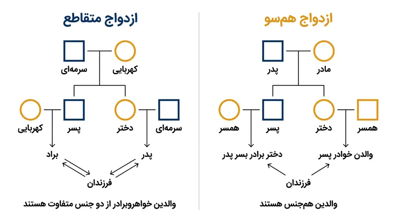 تفاوت ساختاری میان ازدواج متقاطع و هم‌سو کاملاً وابسته به جنسیت والدین در نسل پیشین است.