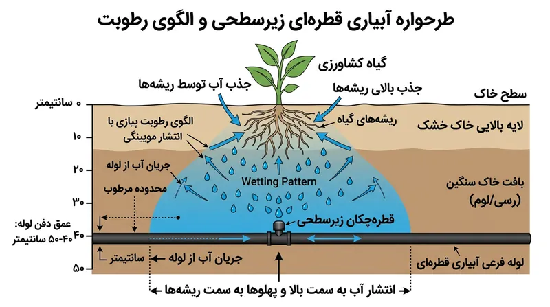 آب با خاصیت مویینگی در خاک جابه‌جا شده و یک ناحیه مرطوب پیوسته پیرامون ریشه‌ها پدید می‌آورد.