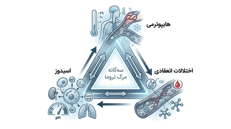 مثلث مرگ در سرمازدگی: ترکیبی کشنده از افت دما، اسیدی شدن خون و اختلال در انعقاد.