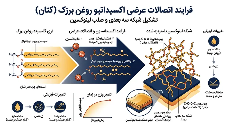 روغن برزک از طریق جذب اکسیژن هوا عمل‌آوری شده و شبکه‌ای پلیمری، سه‌بعدی و پایدار پدید می‌آورد.