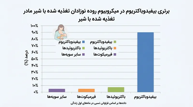 بیفیدوباکتری‌ها با تغذیه انحصاری از قندهای شیر مادر، جمعیت غالب روده نوزاد را تشکیل می‌دهند.