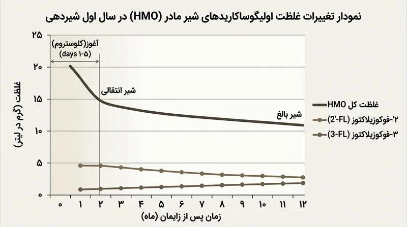 غلظت کل قندهای دفاعی با گذشت زمان شیردهی کاهش می‌یابد، در حالی که قندهایی مانند 3-FL برای رویارویی با خطرات جدید افزایش پیدا می‌کنند.