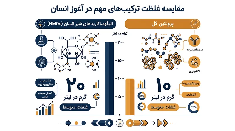 در روزهای اولیه پس از زایمان، سرمایه‌گذاری زیستی مادر در تولید قندهای دفاعی دو برابر سرمایه‌گذاری در پروتئین‌های قابل هضم است.