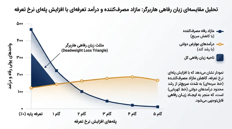 زیان خالص زمانی پدید می‌آید که تبخیر ارزش رفاهی جامعه از درآمدهای مالیاتی حاصل برای دولت فراتر رود.