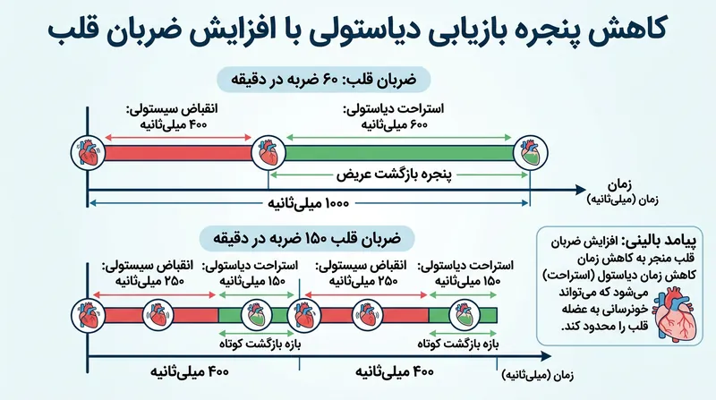 تاکی‌کاردی فرصت موجود برای جداسازی فلکائینید از کانال‌های سدیم را به شکلی شدید کاهش می‌دهد.