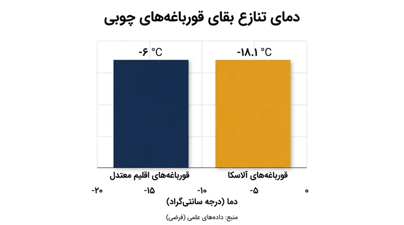 قورباغه‌های جنگلی آلاسکا توان مقاومت در برابر دماهایی به مراتب پایین‌تر از هم‌نوعان خود در مناطق معتدل را دارا هستند.