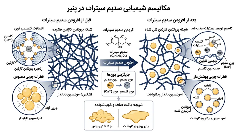 سیترات سدیم مانند یک تله برای کلسیم عمل می‌کند؛ با تعویض کلسیم با سدیم، ساختار فشرده پروتئین کازئین آزاد و منعطف می‌شود.