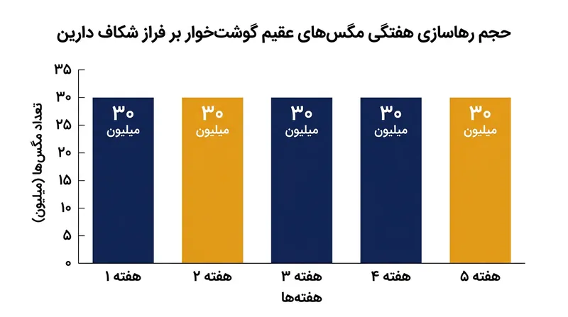 وزارت کشاورزی آمریکا هفتگی حدود ۳۰ میلیون مگس عقیم رهاسازی می‌کند تا این سد زیستی پابرجا بماند.