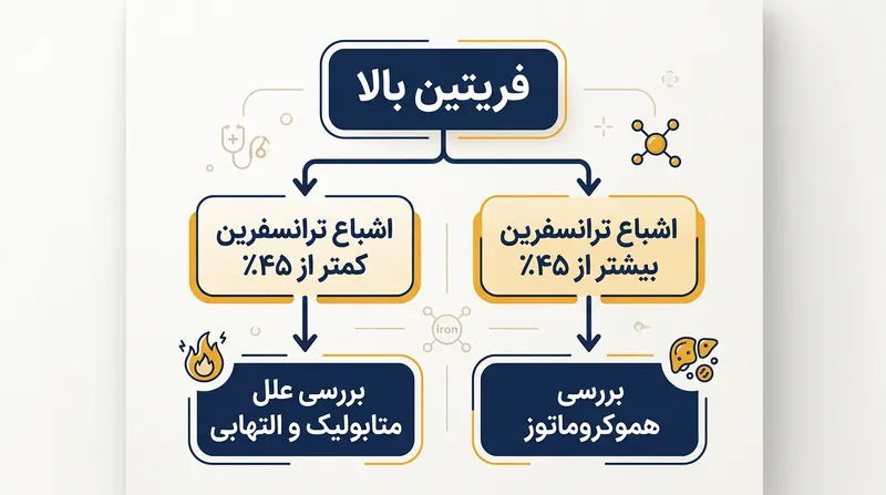 درصد اشباع ترانسفرین سنجه‌ای اساسی است که مشخص می‌کند آیا فریتین بالا واقعاً بر اثر آهن اضافه رخ داده یا خیر.