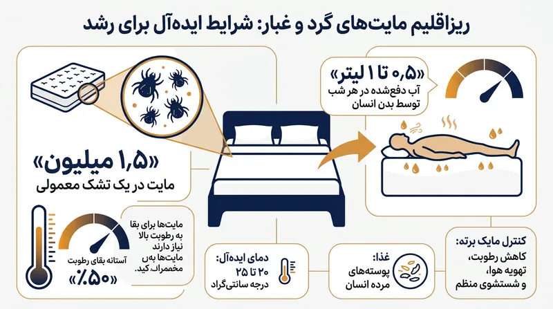 آمارهای پشت پرده اکوسیستم میکروسکوپی فعال در اعماق یک تشک خواب معمولی.