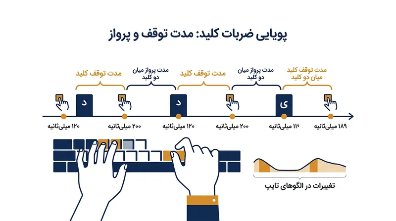 دینامیک ضربات کلید با سنجش میلی‌ثانیه‌ای فواصل بین کلیدها الگوی رفتاری کاربر را پایه‌ریزی می‌کند.