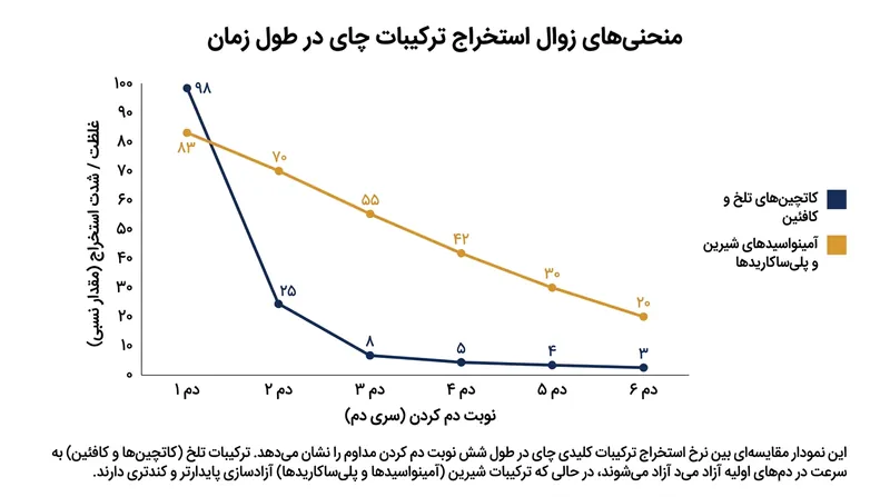 کاتچین‌ها در دم نخست با سرعتی جهشی آزاد می‌شوند و تعادل ترکیبات تلخ و شیرین را در پیاله‌های بعدی دگرگون می‌کنند.