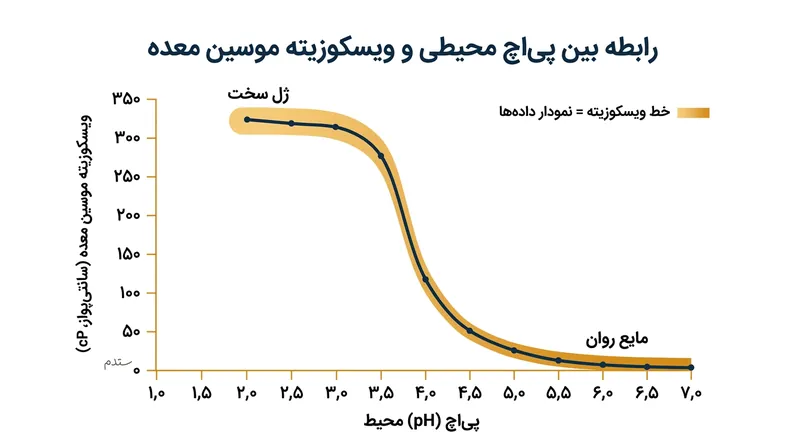 با افزایش موضعی پی‌اچ تحت تأثیر آمونیاک، مخاط غلیظ معده از حالت ژل چسبنده به مایعی روان تبدیل می‌شود.