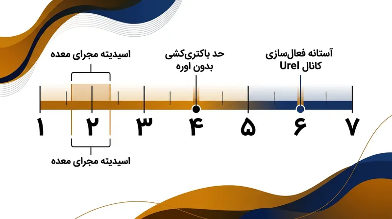 سازوکارهای دفاعی باکتری تنها زمانی وارد عمل می‌شوند که پی‌اچ محیط به کمتر از ۶.۰ کاهش یابد.