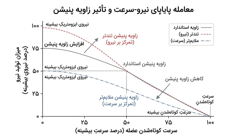 زاویه‌های پنیشن تندتر مشخصات عملکردی عضله را تغییر داده و ظرفیت جابه‌جایی بارهای سنگین را بر سرعت انقباض اولویت می‌بخشند.