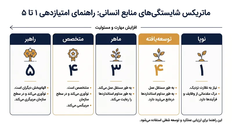 ماتریس‌های شایستگی معمولا پاسخ‌های کارجویان را در یک مقیاس ۱ تا ۵ ارزیابی می‌کنند.
