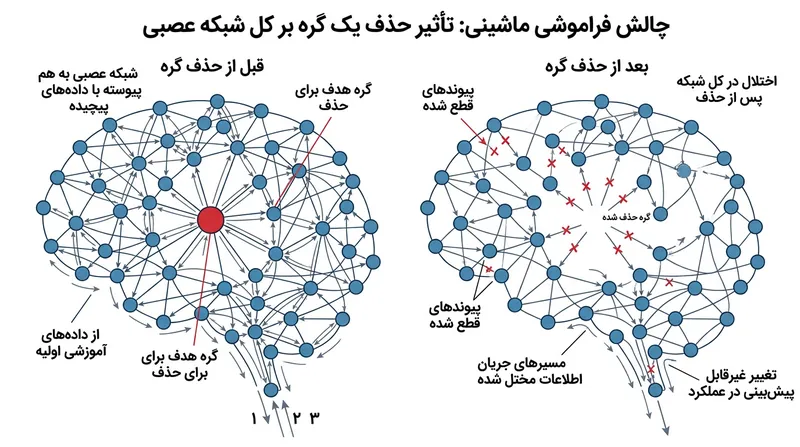 حذف داده‌ها از یک مدل آموزش‌دیده به دلیل درهم‌تنیدگی پارامترها، از نظر ریاضی بسیار پیچیده است.