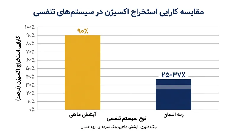 مهره‌داران آبزی نسبت به پستانداران خشکی‌زی، درصد بسیار بالاتری از اکسیژن موجود در سیال تنفسی را جذب می‌کنند.