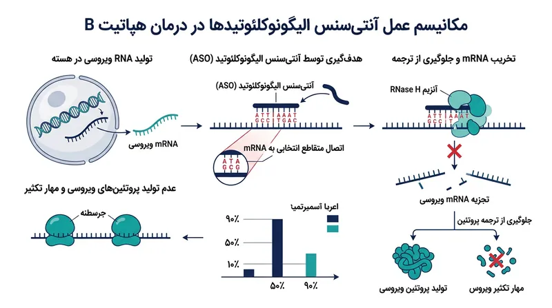 داروی هیبساگو با مسدود کردن دستورالعمل‌های ژنتیکی ویروس، مانع از تکثیر آن و تولید پروتئین‌های مخرب می‌شود.