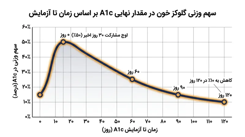 سطح قند خون در روزهای اخیر تأثیر بسیار بیشتری بر نتیجه نهایی A1c دارد، زیرا سلول‌های قدیمی‌تر پیوسته از گردش خون خارج می‌شوند.