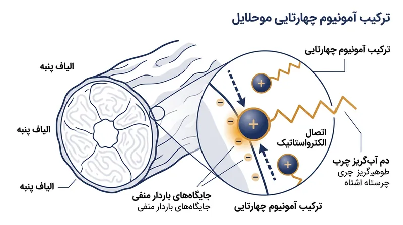 نرم‌کننده‌های سنتی از مولکول‌های آمفی‌فیلیک استفاده می‌کنند که الیاف را با دم‌های چرب و ضدآب می‌پوشانند.