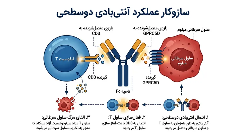 تالکوئتاماب مانند یک پل عمل می‌کند و به طور هم‌زمان به پروتئین GPRC5D روی سلول میلوم و گیرنده CD3 روی لنفوسیت T متصل می‌شود.
