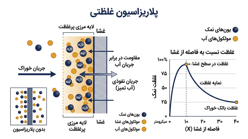 تشکیل لایه نمکی غلیظ در چسبیده به سطح غشا، مستقیماً نیروی فشاری پمپ را خنثی می‌کند.