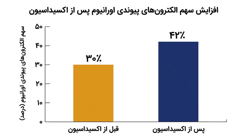 افزایش سهم اورانیوم در الکترون‌های پیوندی پس از اکسیداسیون که مانع از انقباض مولکول می‌شود.