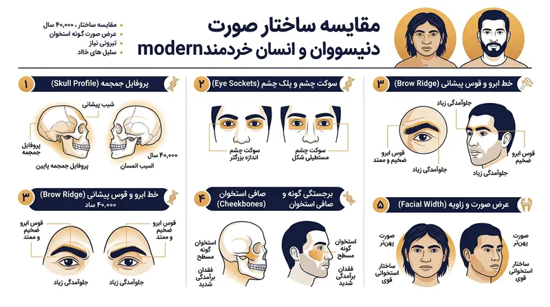 ویژگی‌های کلیدی چهره دنیسوواها شامل جمجمه پهن، پیشانی شیب‌دار و استخوان‌های گونه تخت.