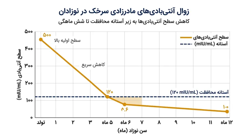 میانگین پادتن‌های خنثی‌کننده در نوزادان تا شش‌ماهگی به زیر آستانه محافظت بالینی سقوط می‌کند.