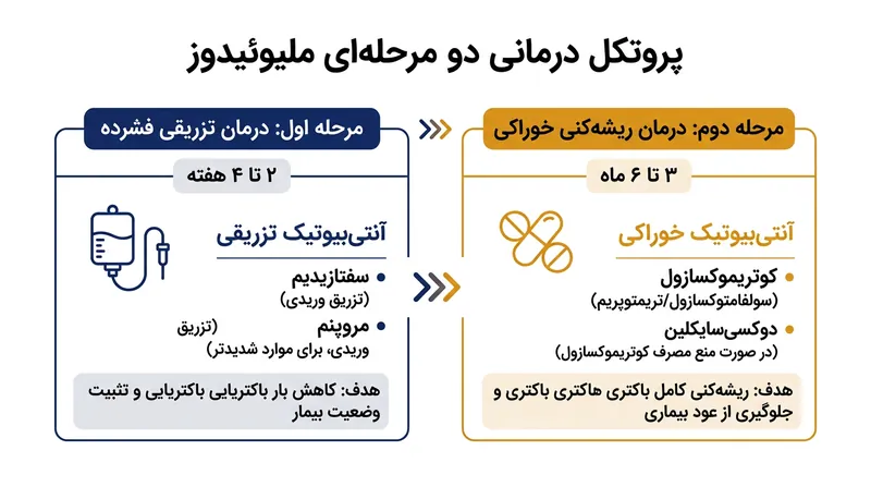 درمان مؤثر ملیوئیدوز به یک رژیم آنتی‌بیوتیکی طولانی و دومرحله‌ای نیاز دارد تا از بازگشت باکتری جلوگیری شود.
