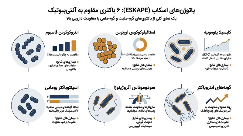 گروه باکتریایی ESKAPE از شش باکتری بسیار تهاجمی تشکیل شده که به‌خاطر بی‌اثر کردن آنتی‌بیوتیک‌های معمول شناخته می‌شوند.
