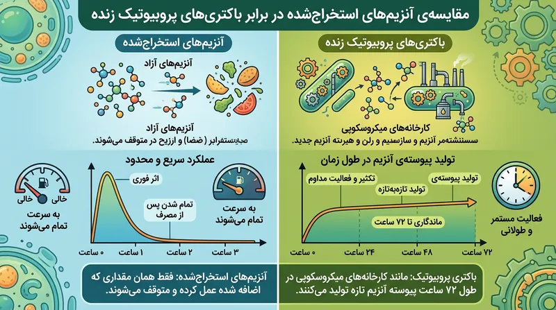آنزیم‌های استخراج‌شده اثری آنی دارند، اما شوینده‌های پروبیوتیک با فعالیت بیولوژیکی ادامه‌دار، بوهای رسوخ‌کرده را مهار می‌کنند.