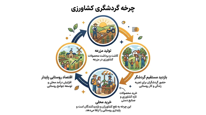 چرخه اقتصادی گردشگری کشاورزی و تاثیر آن بر جوامع محلی.