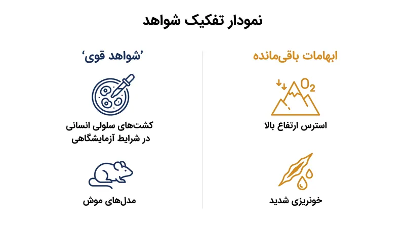 در حالی که استقلال ذاتی ماکروفاژها اثبات شده است، نقش آن‌ها در شرایط استرس شدید فیزیولوژیکی همچنان نامشخص است.