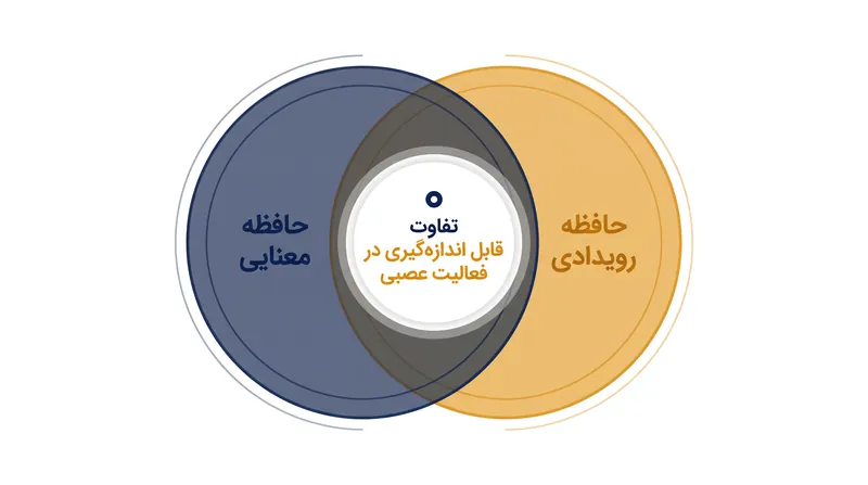 اسکن‌ها هیچ تفاوت قابل اندازه‌گیری در فعالیت شبکه‌های عصبی هنگام بازیابی موفق حقایق در مقابل تجربیات نشان ندادند.