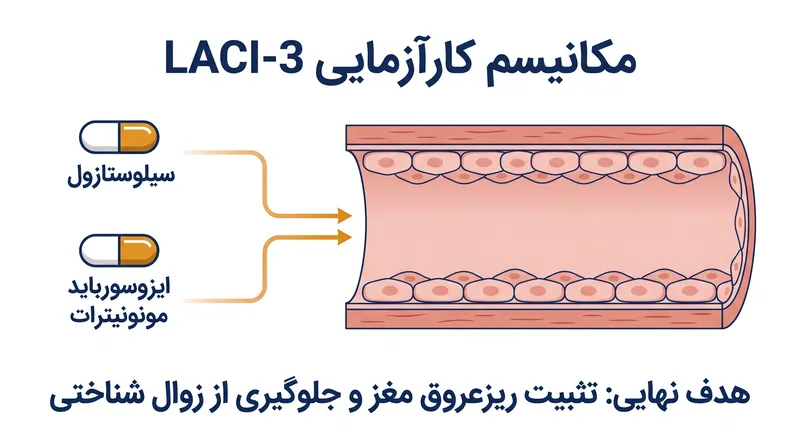 کارآزمایی LACI-3 در حال بررسی این موضوع است که آیا استفاده مجدد از دو داروی قلبی-عروقی موجود می‌تواند ریزعروق مغز را تثبیت کرده و از زوال شناختی جلوگیری کند.