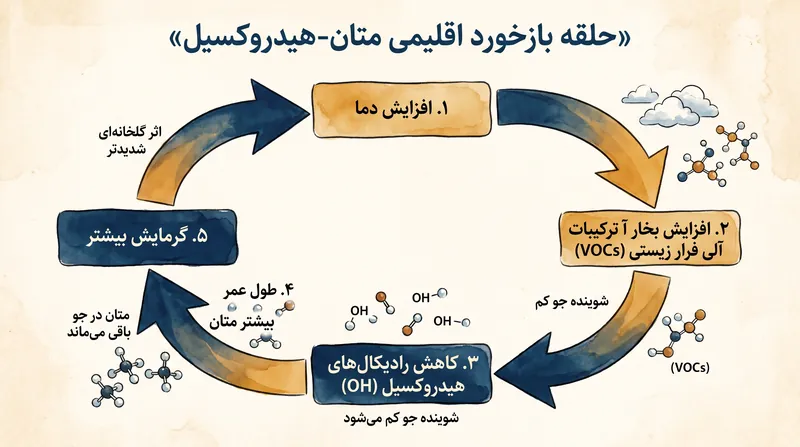 حلقه بازخورد: افزایش دما، مولکول‌های مورد نیاز برای تجزیه گازهای گلخانه‌ای را سرکوب می‌کند.