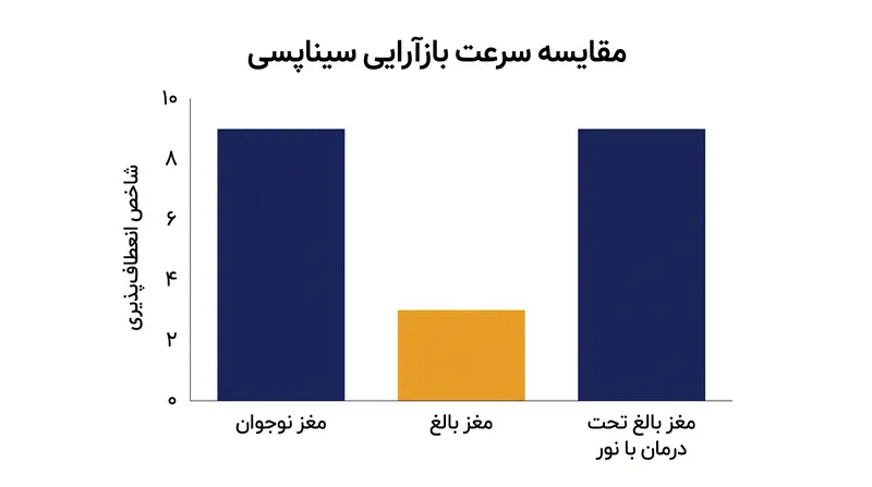 افراد بالغی که تحت نوردرمانی هدفمند قرار گرفتند، سرعت یادگیری و بازآرایی‌ای معادل با سطح پایه مغز نوجوان از خود نشان دادند.