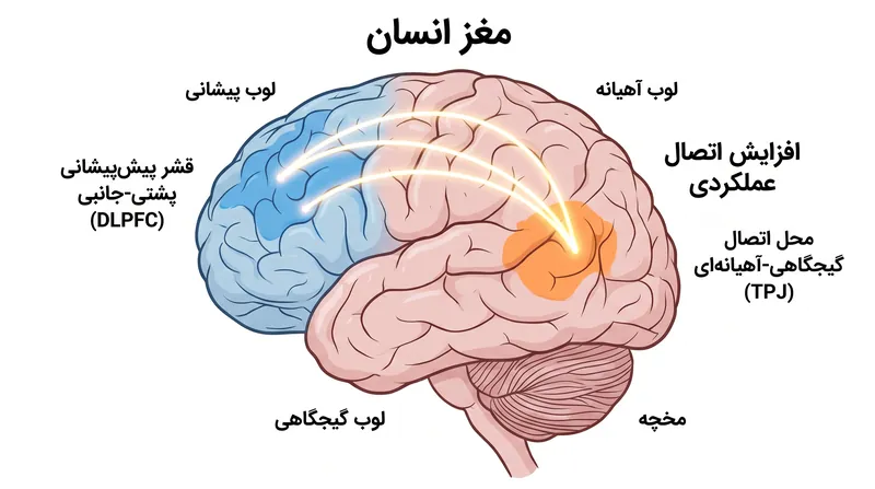 اسکن‌های MRI عملکردی نشان داد که این درمان اتصال بین نواحی مغزی حیاتی برای پردازش اطلاعات اجتماعی را افزایش داد.