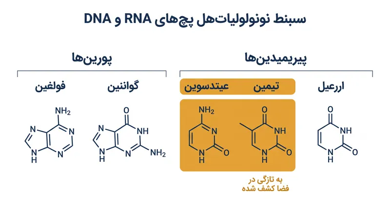 مجموعه کامل بازهای نوکلئوتیدی DNA و RNA اکنون در نمونه‌های فرازمینی تأیید شده است.