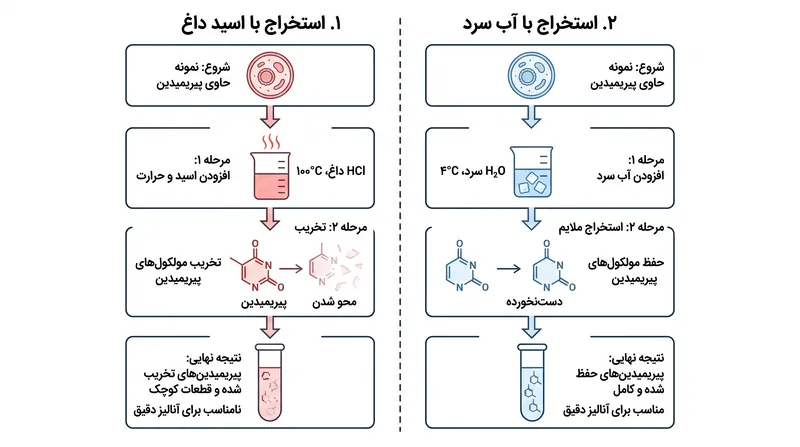 روش‌های استخراج قبلی، پیریمیدین‌های شکننده را قبل از شناسایی، ناخواسته از بین می‌بردند.