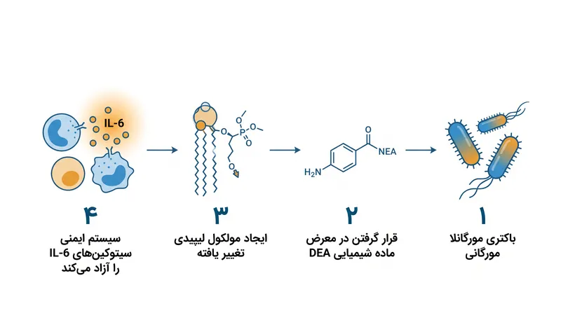 ترکیب یک ماده شیمیایی رایج و میکروب روده برای تحریک پاسخ ایمنی.
