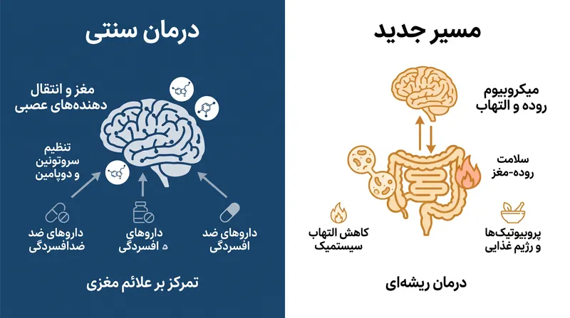 این کشف، راه را برای درمان افسردگی از طریق هدف قرار دادن سیستم ایمنی به جای شیمی مغز، باز می‌کند.