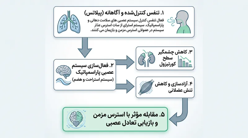 تأثیر پیلاتس بر تنظیم مجدد سیستم عصبی برای مقابله با استرس مزمن.