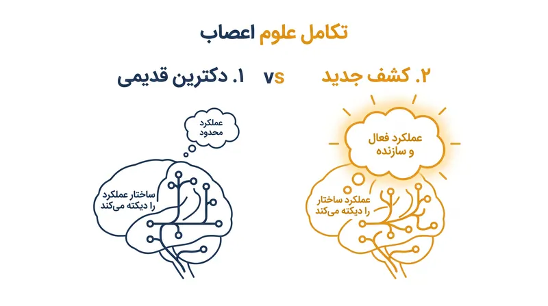 تغییر پارادایم: اکنون فعالیت عملکردی به عنوان معمار ساختار فیزیکی مغز درک می‌شود.