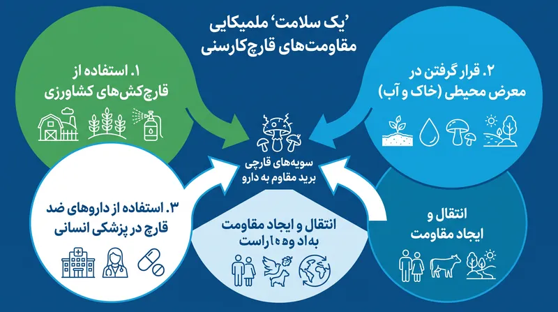 مقاومت ضد قارچی ناشی می‌شود از ترکیبی از عوامل کشاورزی، محیطی و بالینی.