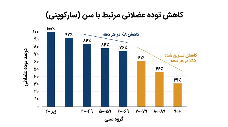 بدون تمرینات مقاومتی سنگین، ورزشکاران استقامتی با افزایش سن توده عضلانی حیاتی تند انقباض خود را از دست می‌دهند.