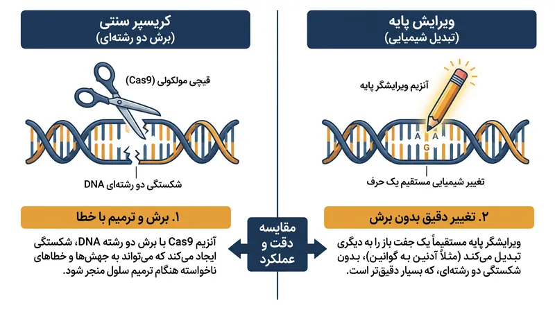 برخلاف کریسپر سنتی که مارپیچ دوتایی DNA را قطع می‌کند، ویرایش پایه به صورت شیمیایی یک حرف ژنتیکی واحد را تغییر می‌دهد.