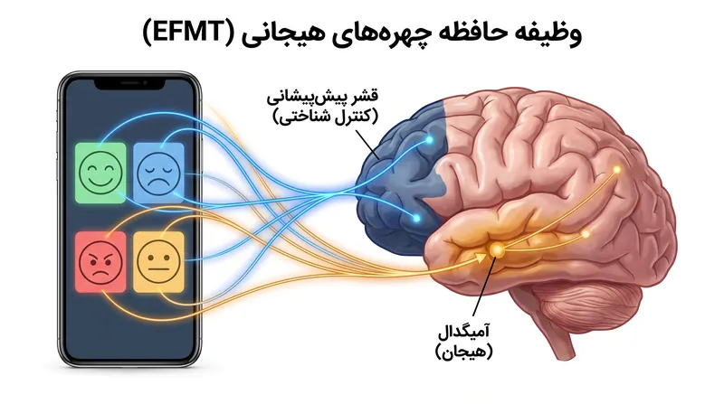 این اپلیکیشن قشر پیش‌پیشانی پشتی-جانبی و آمیگدال را برای تقویت تنظیم هیجانی هدف قرار می‌دهد.
